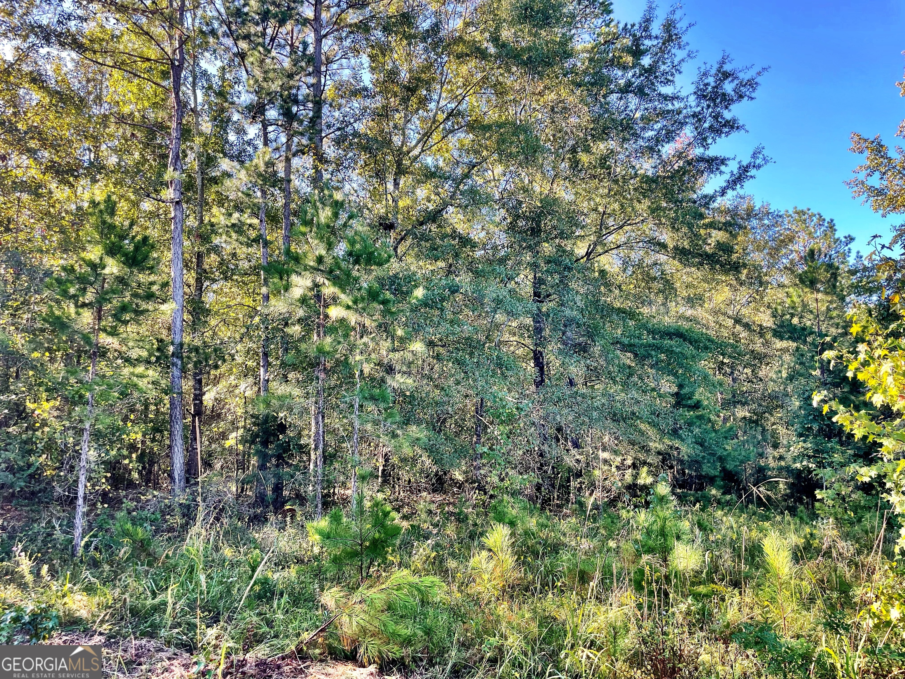 0 Mud Boggin Rd Property Photo 2