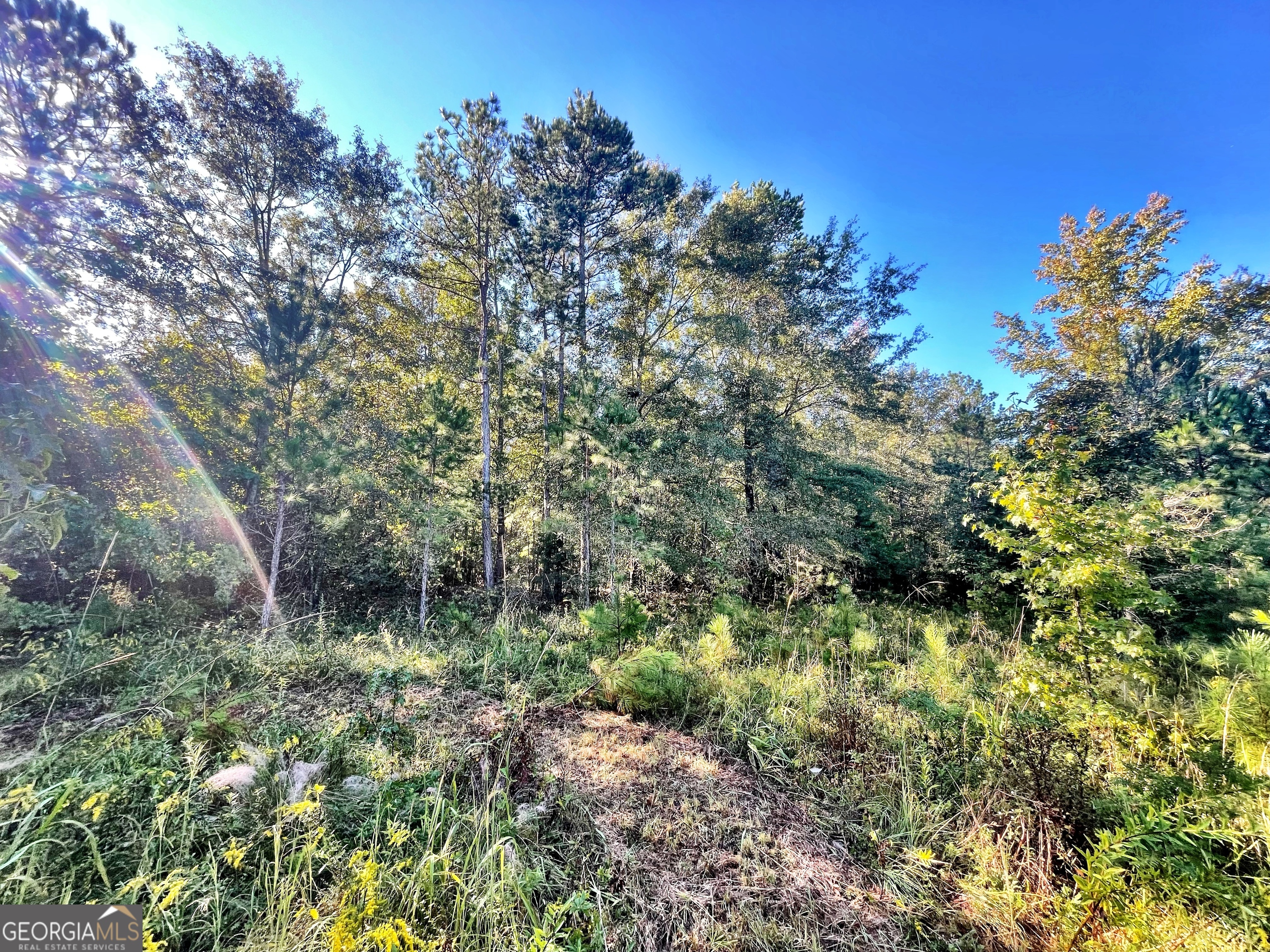0 Mud Boggin Rd Property Photo 3