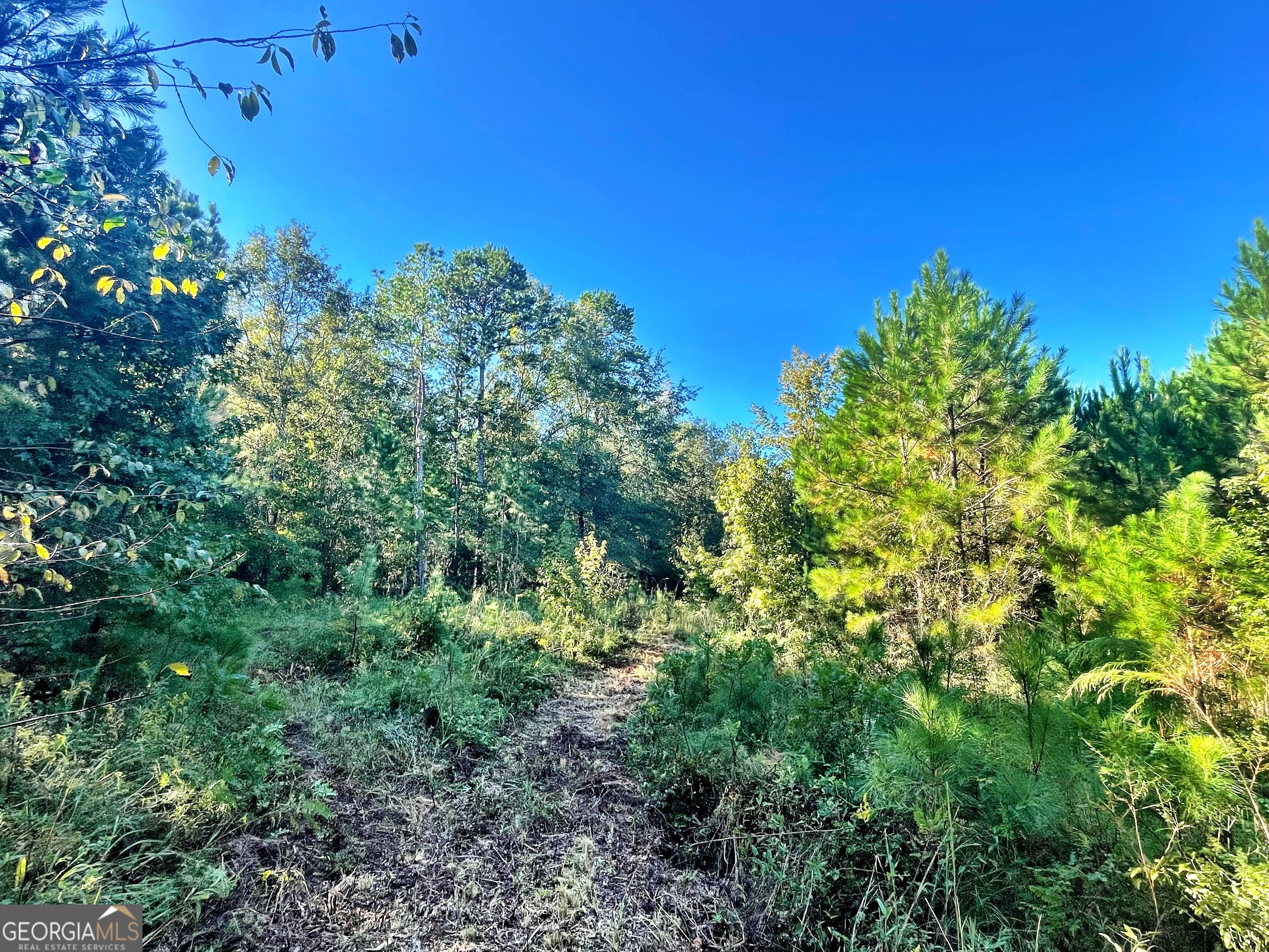 0 Mud Boggin Rd Property Photo 4