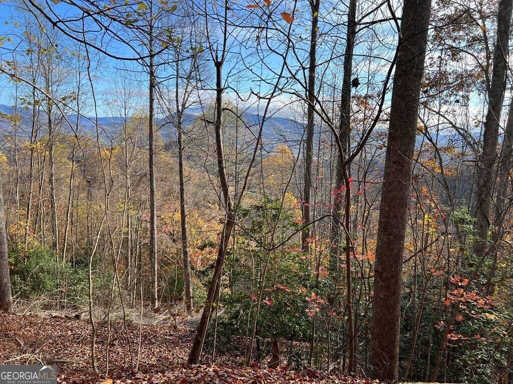 Tract 1 Hidden Summit Property Photo 3
