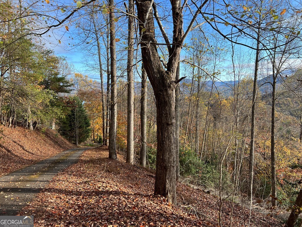 Tract 1 Hidden Summit Property Photo 8