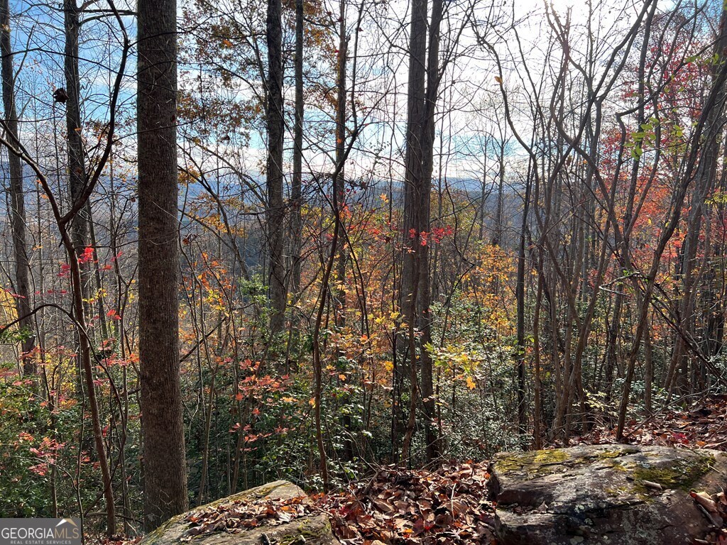 Tract 1 Hidden Summit Property Photo 9