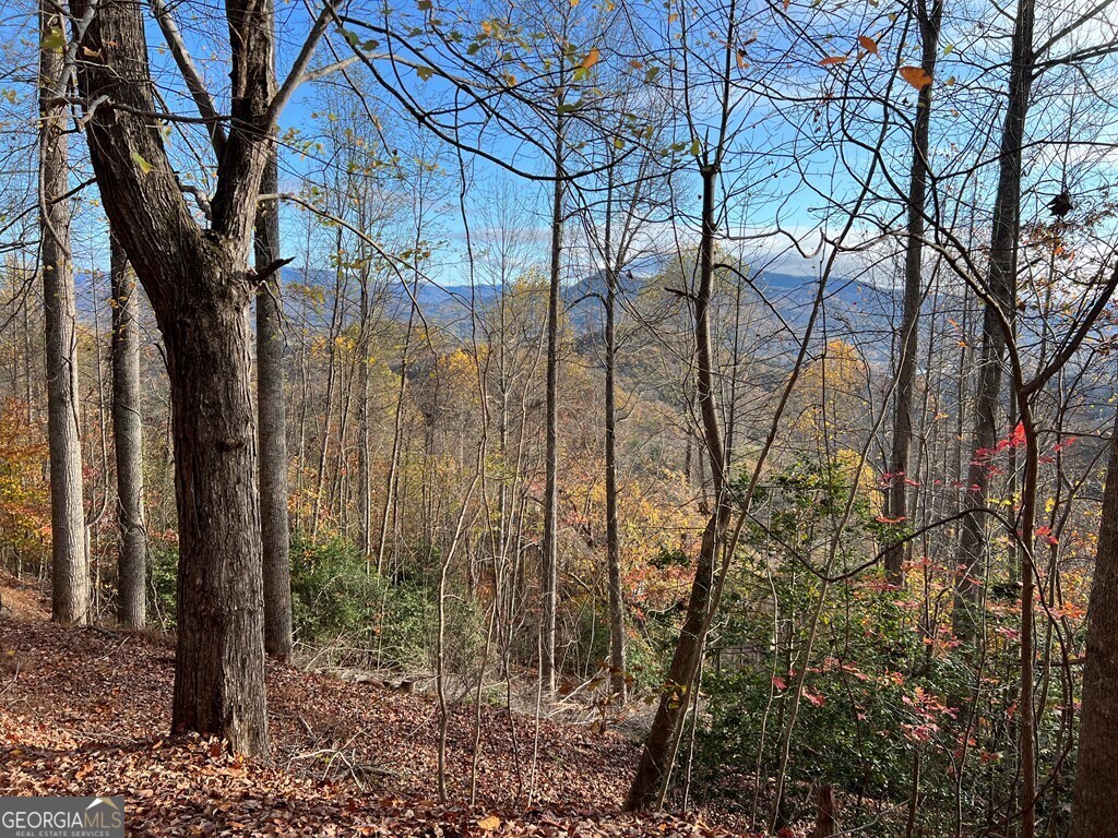 Tract 1 Hidden Summit Property Photo 10