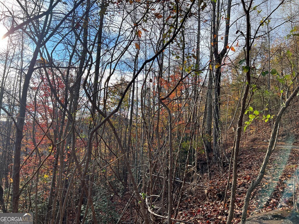 Tract 1 Hidden Summit Property Photo 11