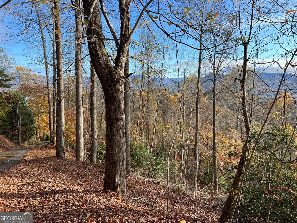 Tract 1 Hidden Summit Property Photo 14