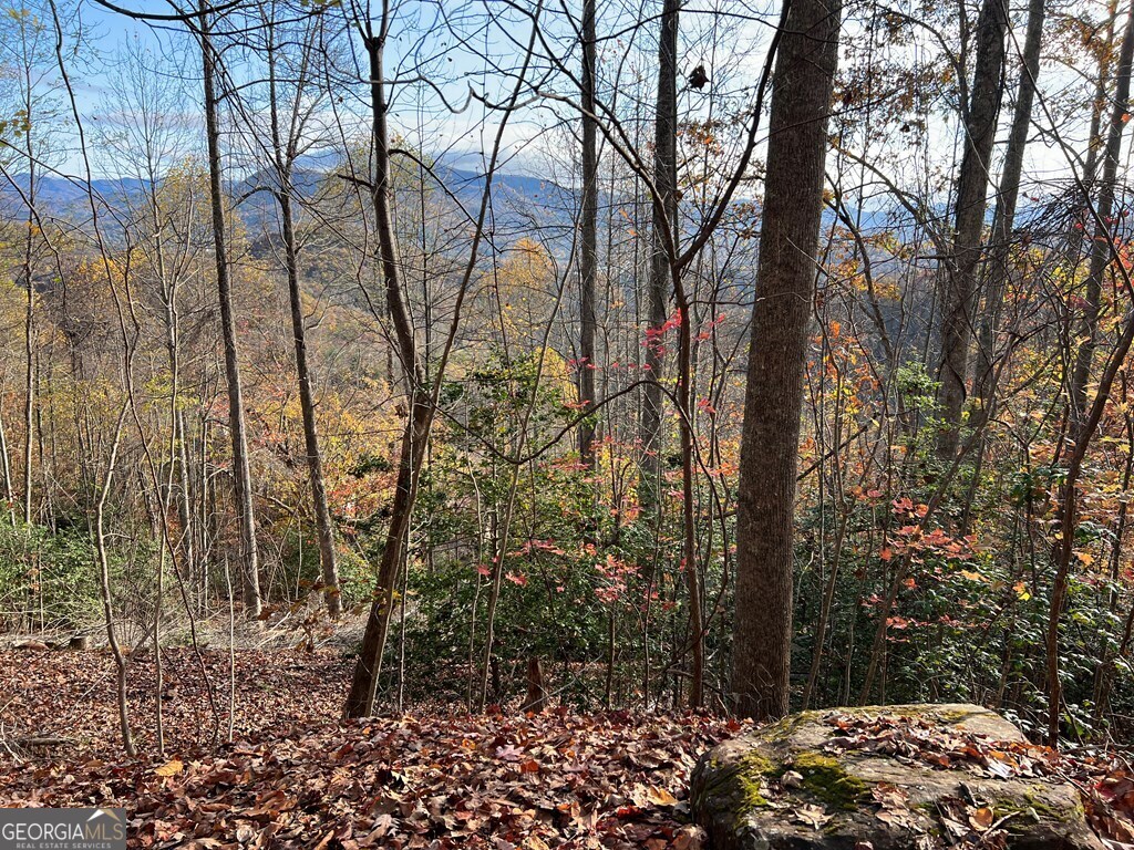 Tract 1 Hidden Summit Property Photo 15