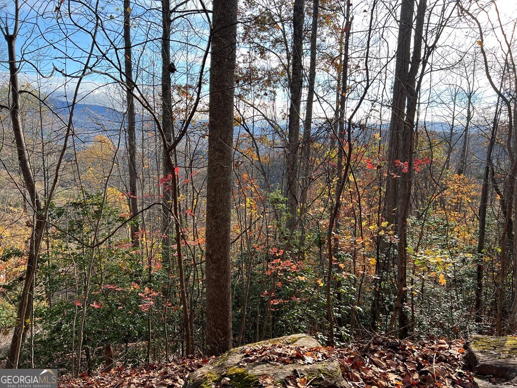 Tract 1 Hidden Summit Property Photo 16