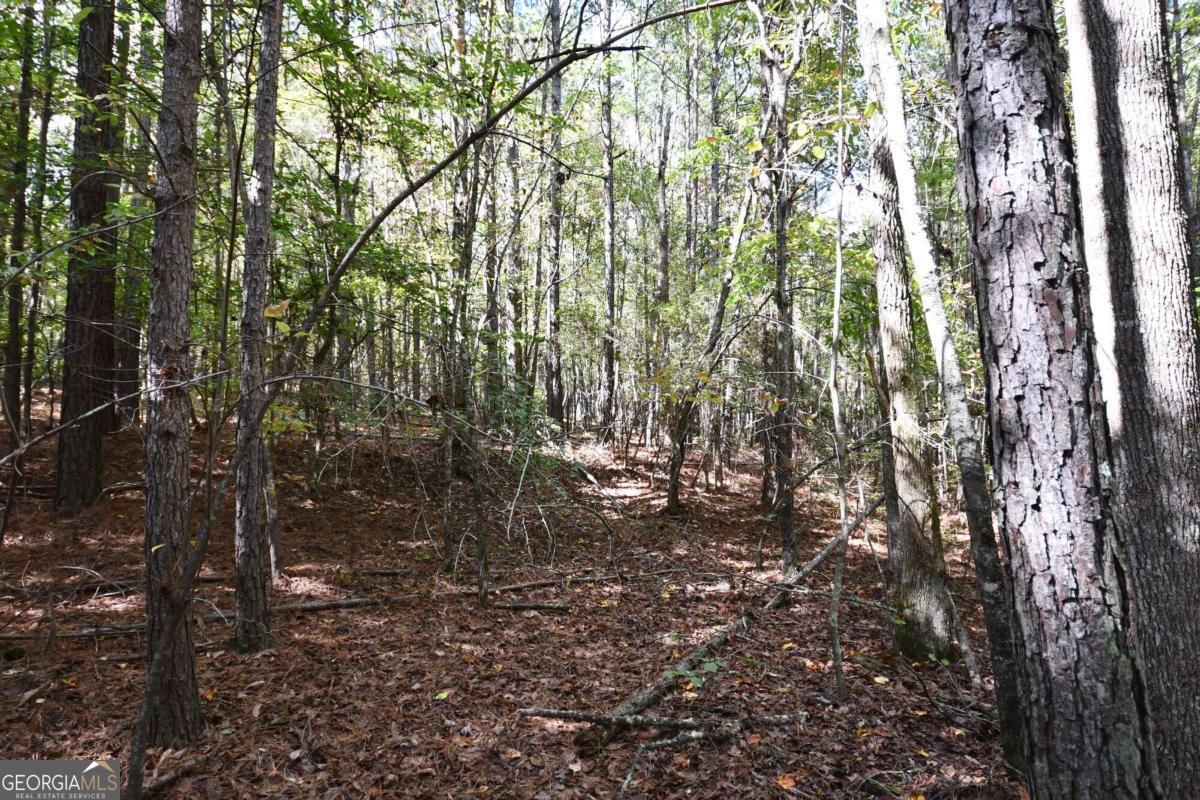 00001 Poplar Springs Road Property Photo 1