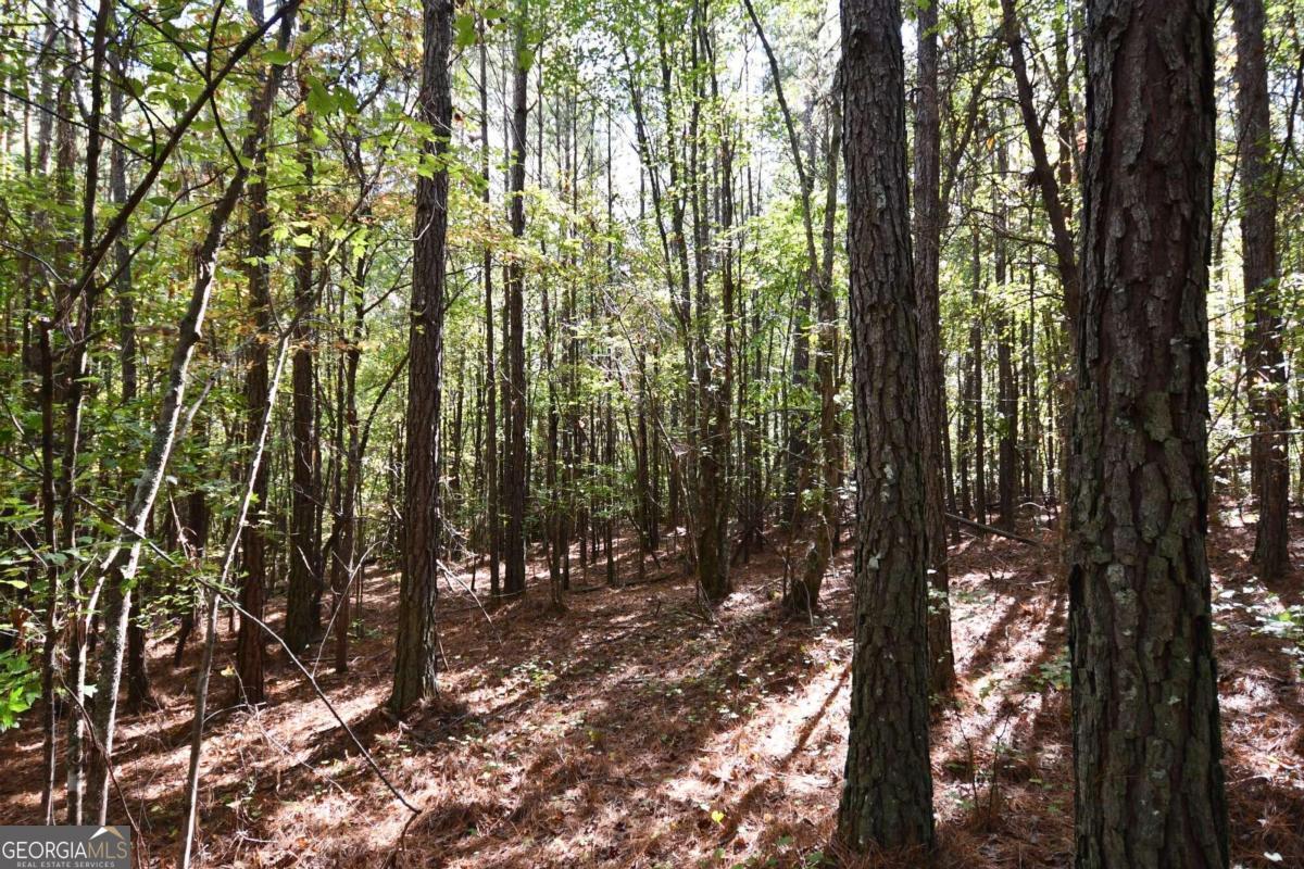 00001 Poplar Springs Road Property Photo 2