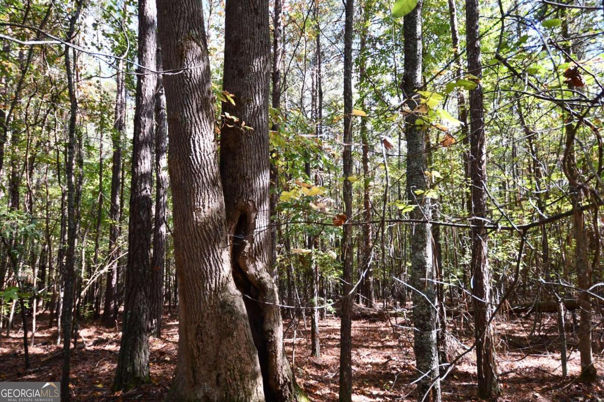 00001 Poplar Springs Road Property Photo 3