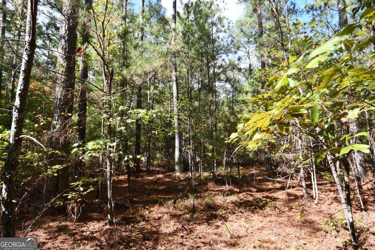 00001 Poplar Springs Road Property Photo 4