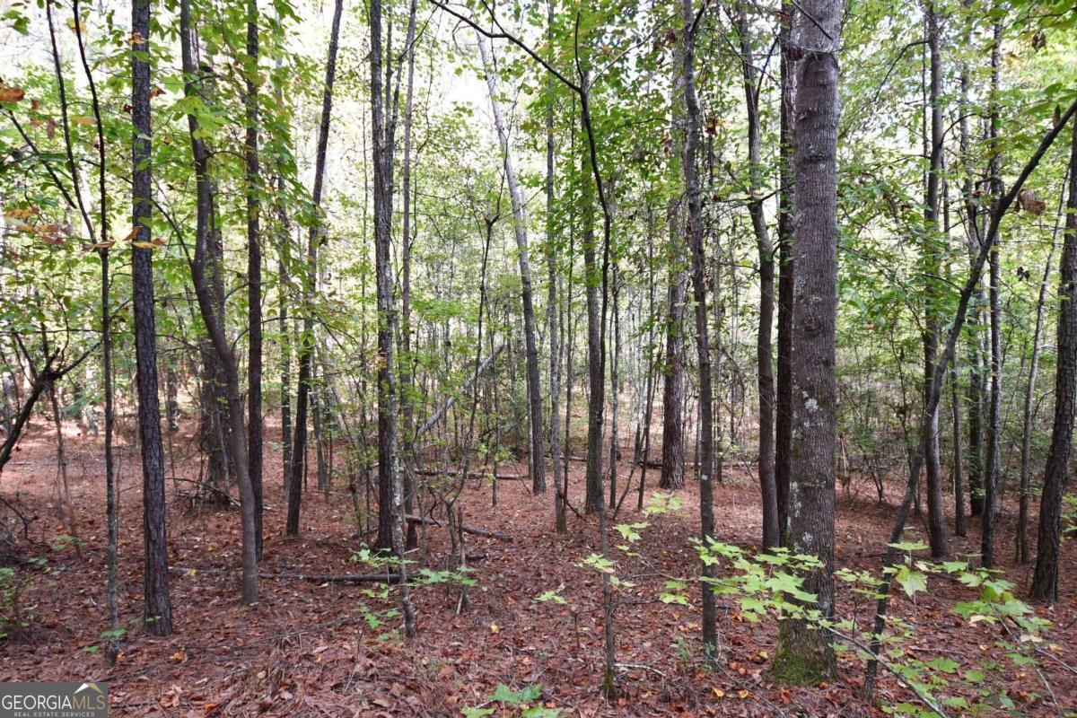 00001 Poplar Springs Road Property Photo 5
