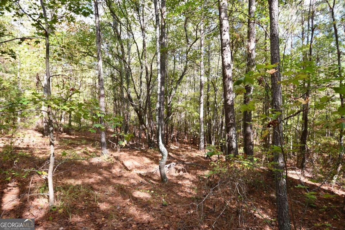 00001 Poplar Springs Road Property Photo 6