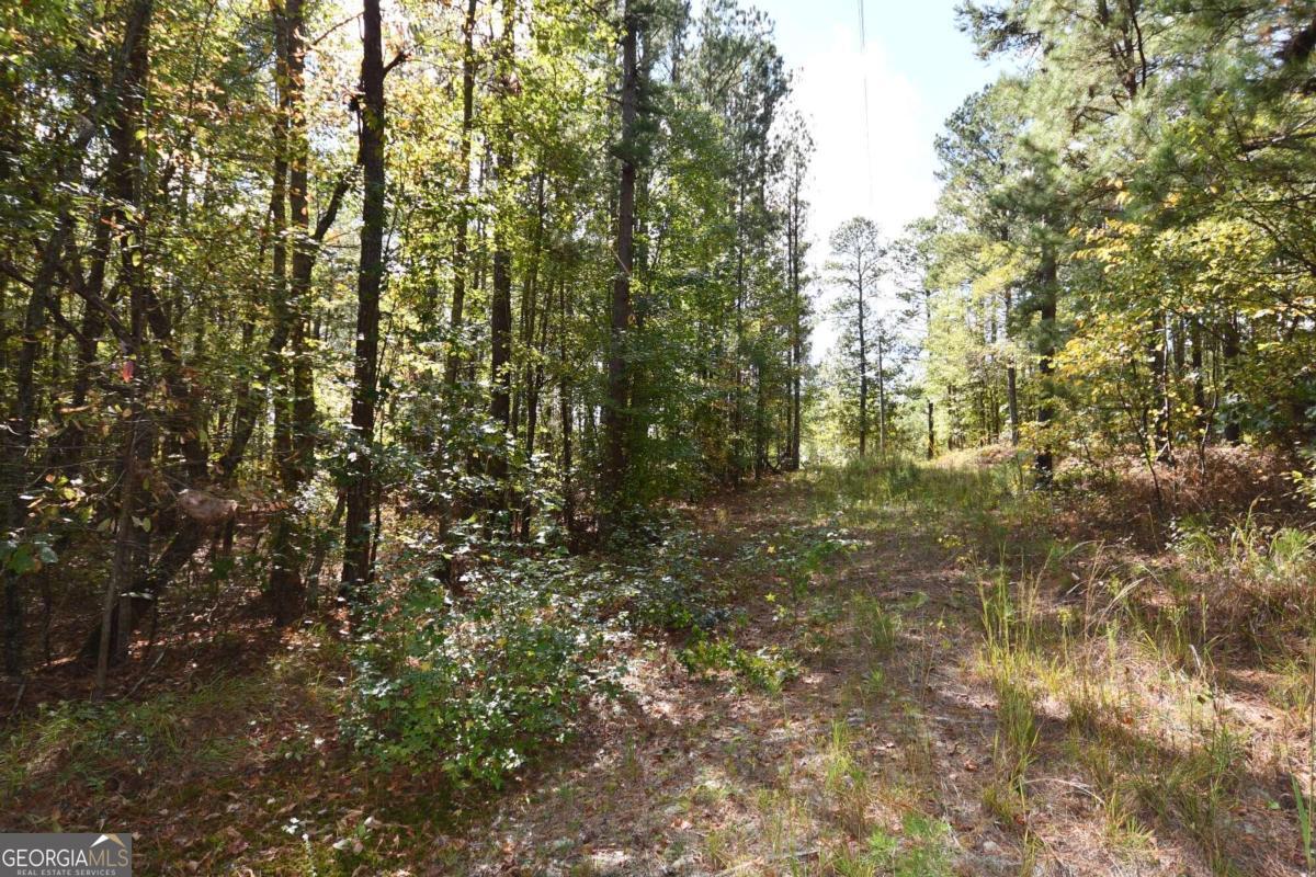 00001 Poplar Springs Road Property Photo 7