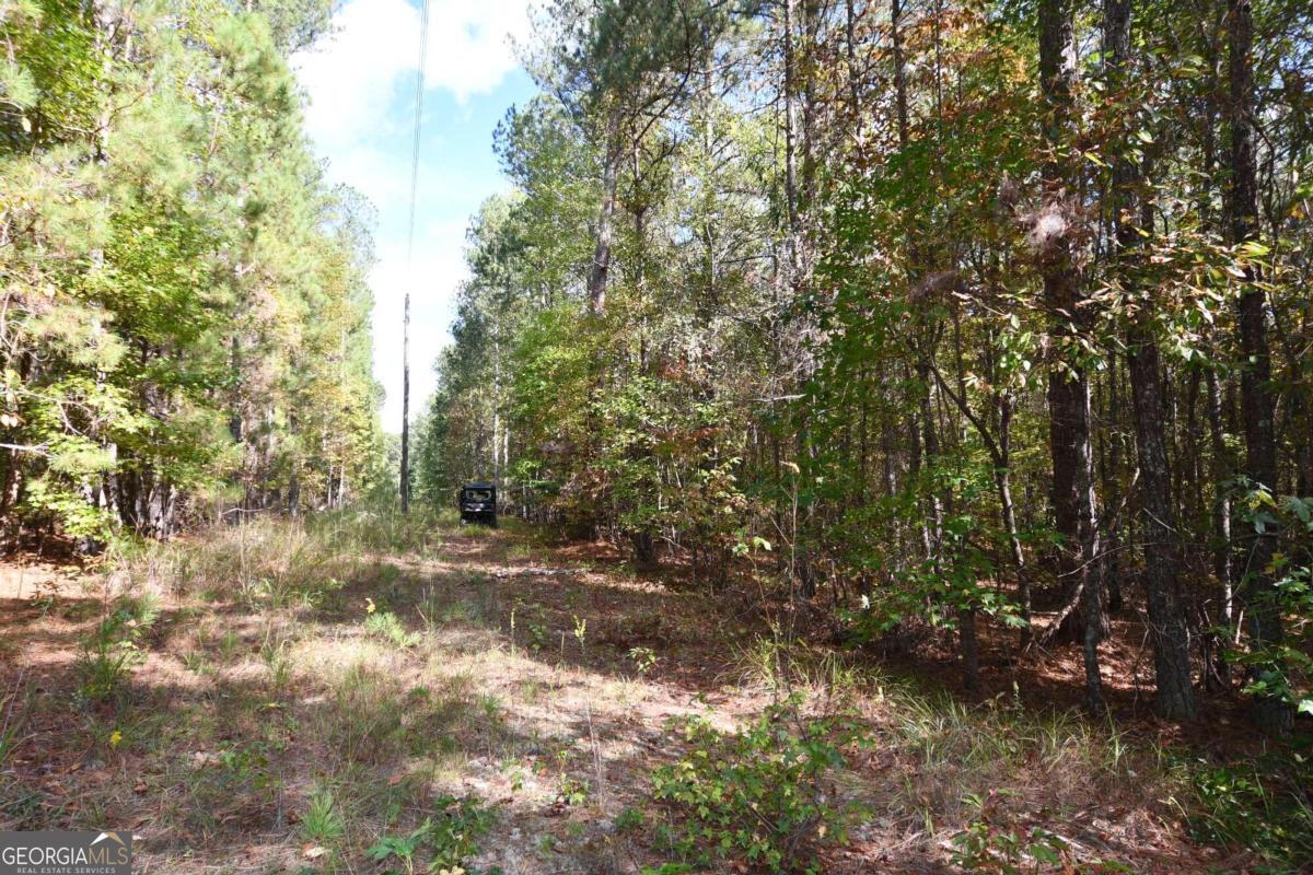 00001 Poplar Springs Road Property Photo 8