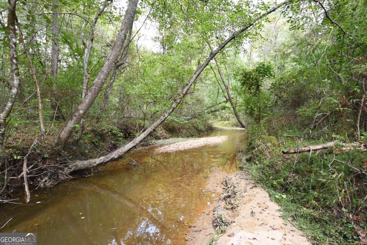 00001 Poplar Springs Road Property Photo 9