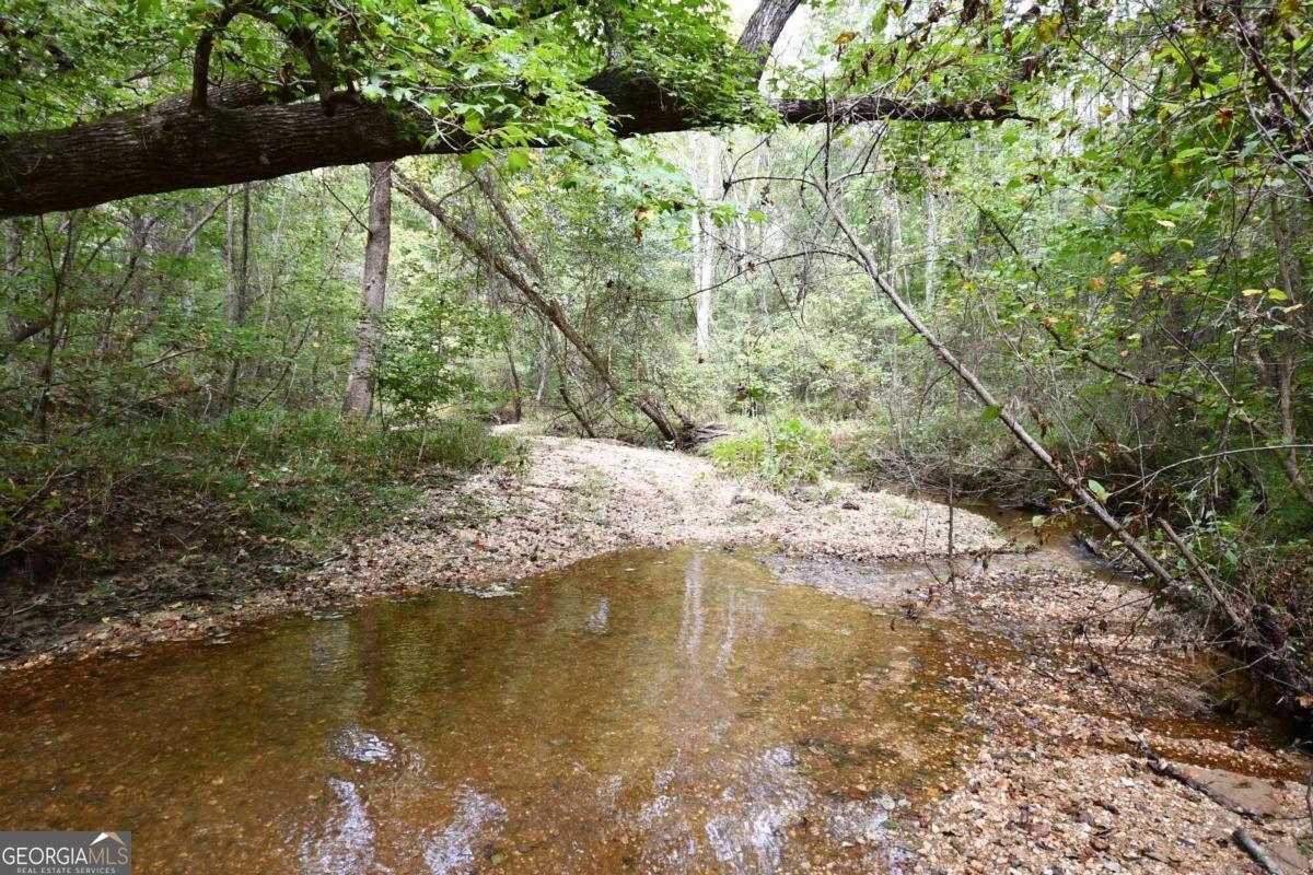00001 Poplar Springs Road Property Photo 10