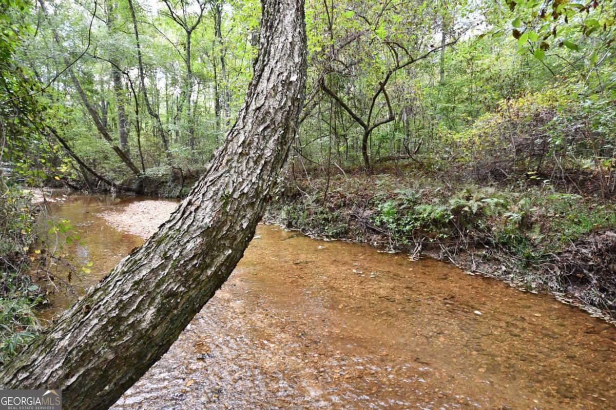 00001 Poplar Springs Road Property Photo 11
