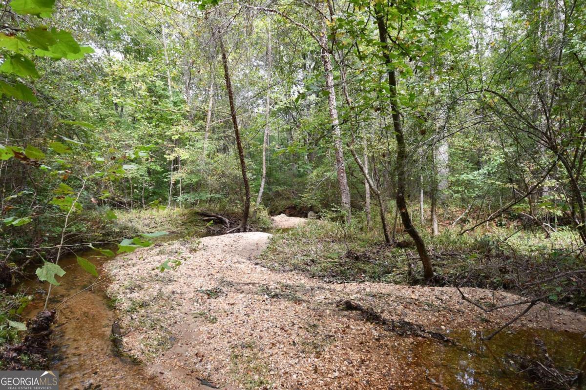 00001 Poplar Springs Road Property Photo 12