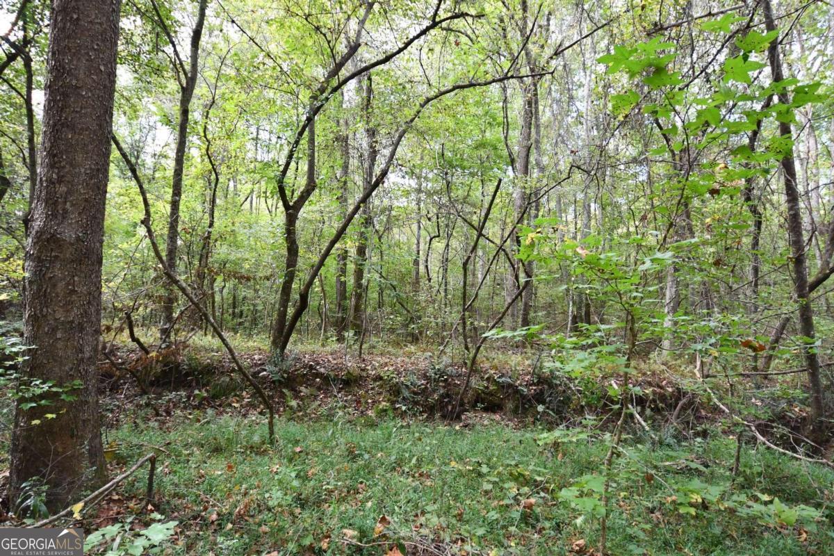 00001 Poplar Springs Road Property Photo 13