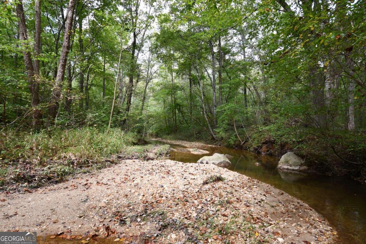 00001 Poplar Springs Road Property Photo 15