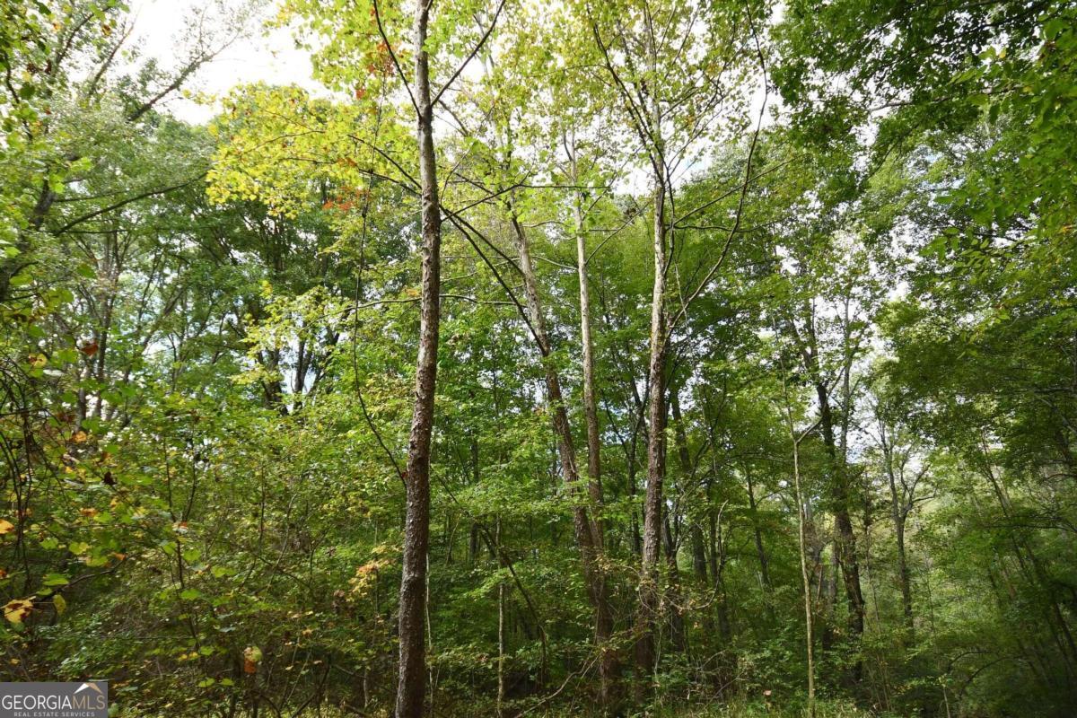 00001 Poplar Springs Road Property Photo 16
