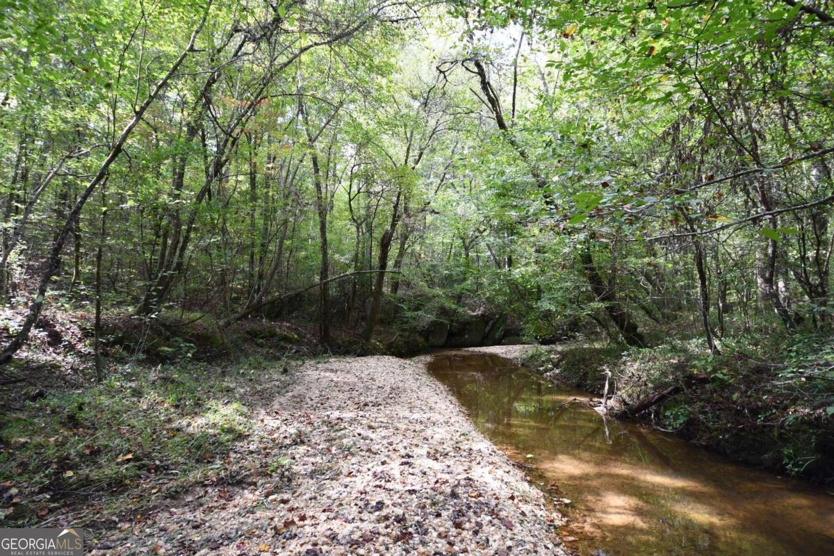 00001 Poplar Springs Road Property Photo 19