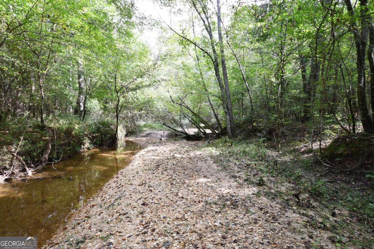 00001 Poplar Springs Road Property Photo 20