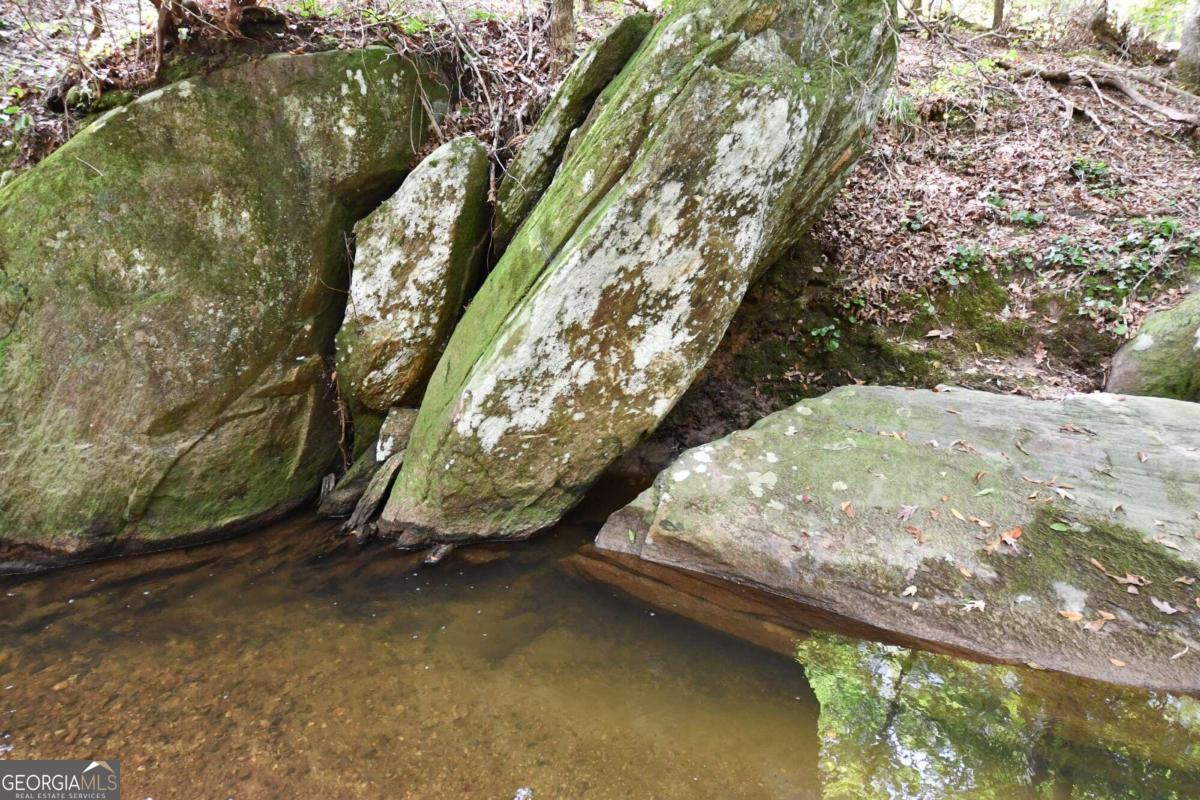 00001 Poplar Springs Road Property Photo 22