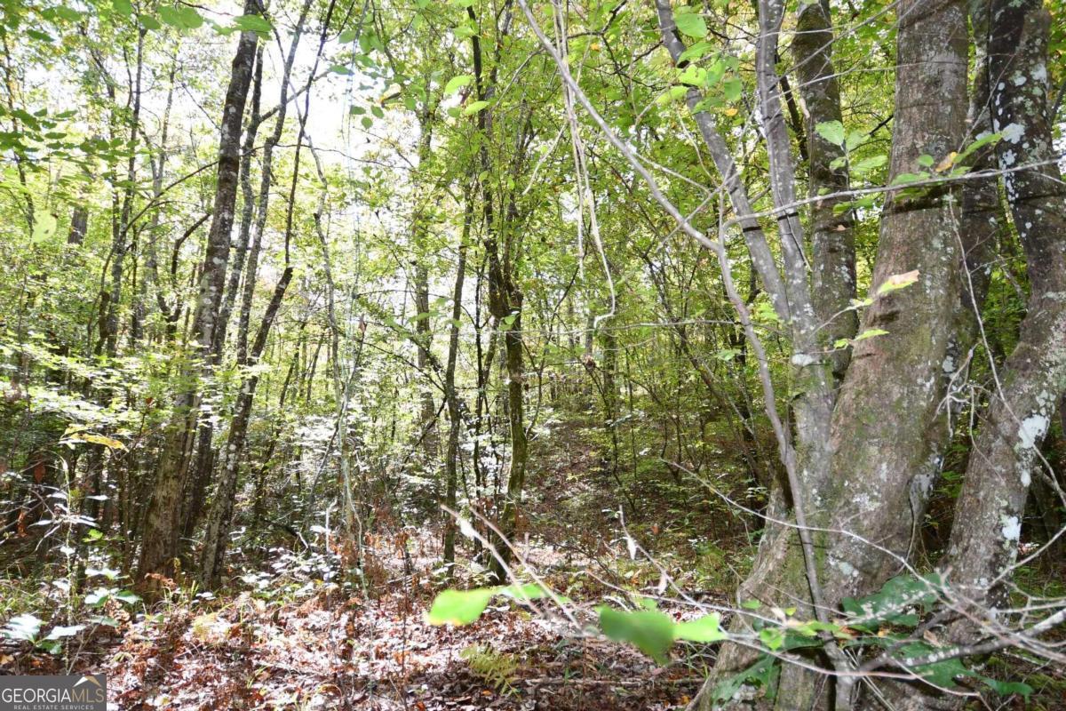 00001 Poplar Springs Road Property Photo 25