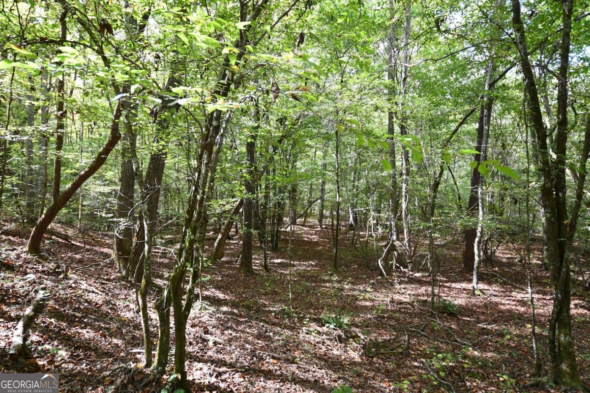 00001 Poplar Springs Road Property Photo 27