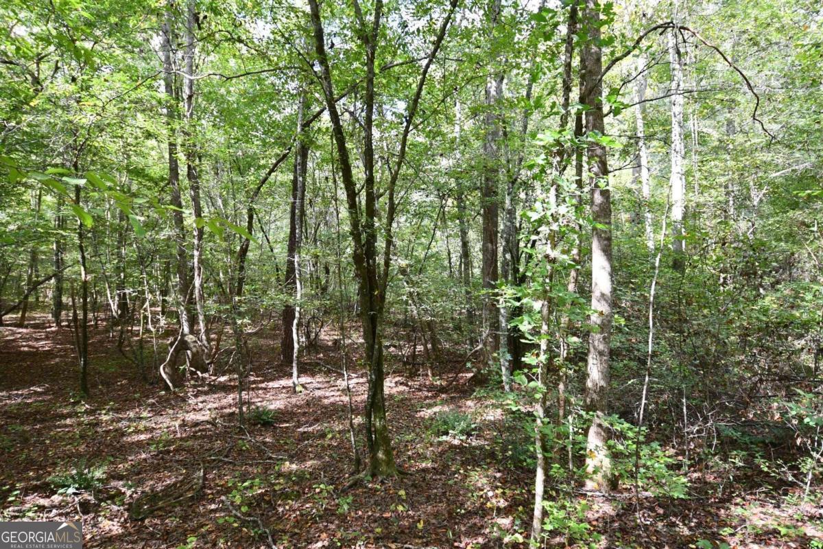 00001 Poplar Springs Road Property Photo 28