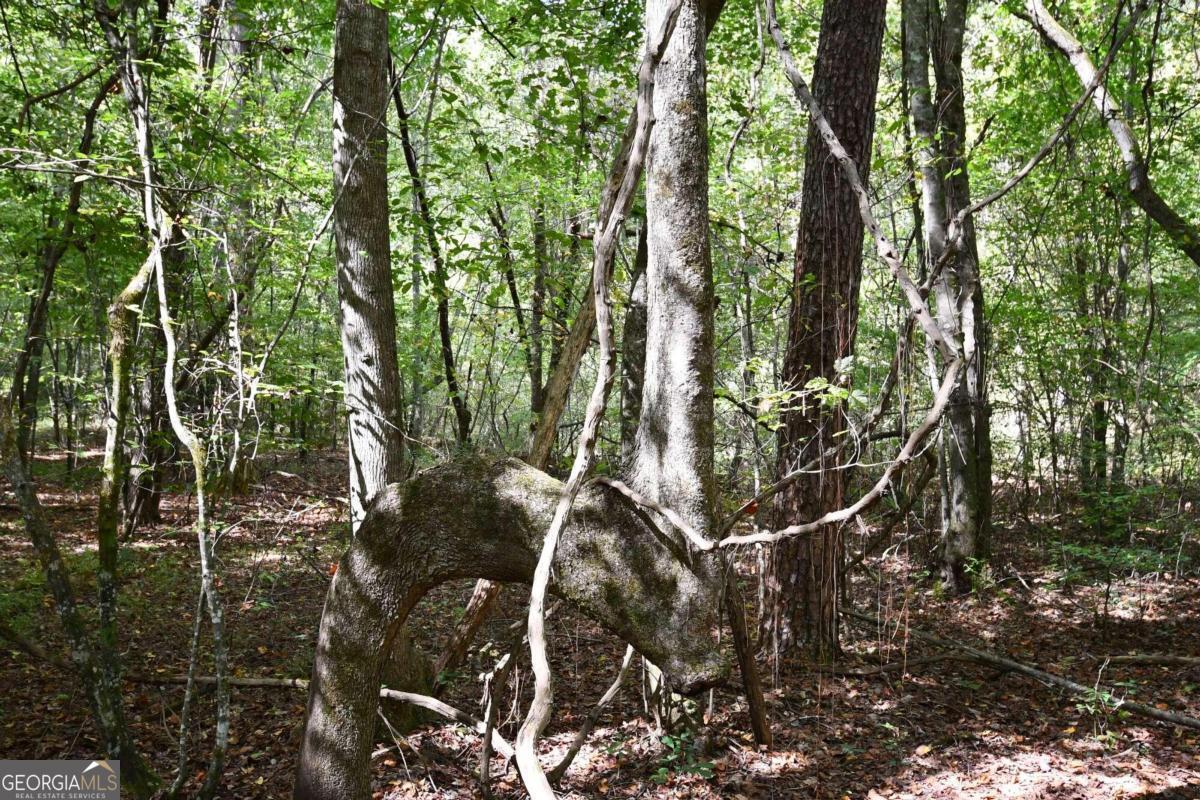 00001 Poplar Springs Road Property Photo 29