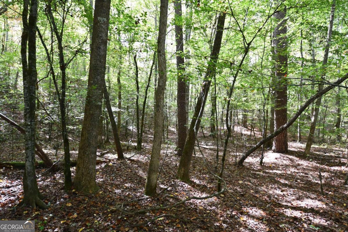 00001 Poplar Springs Road Property Photo 30