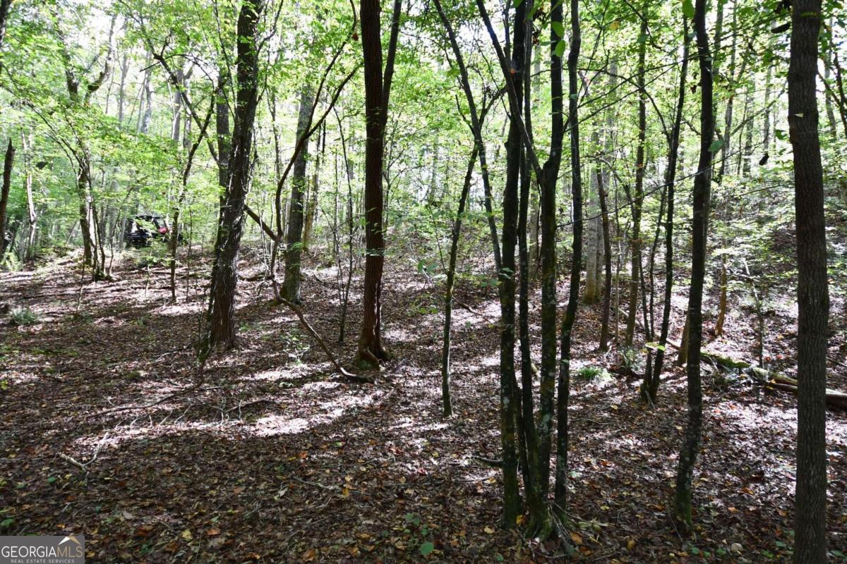 00001 Poplar Springs Road Property Photo 31