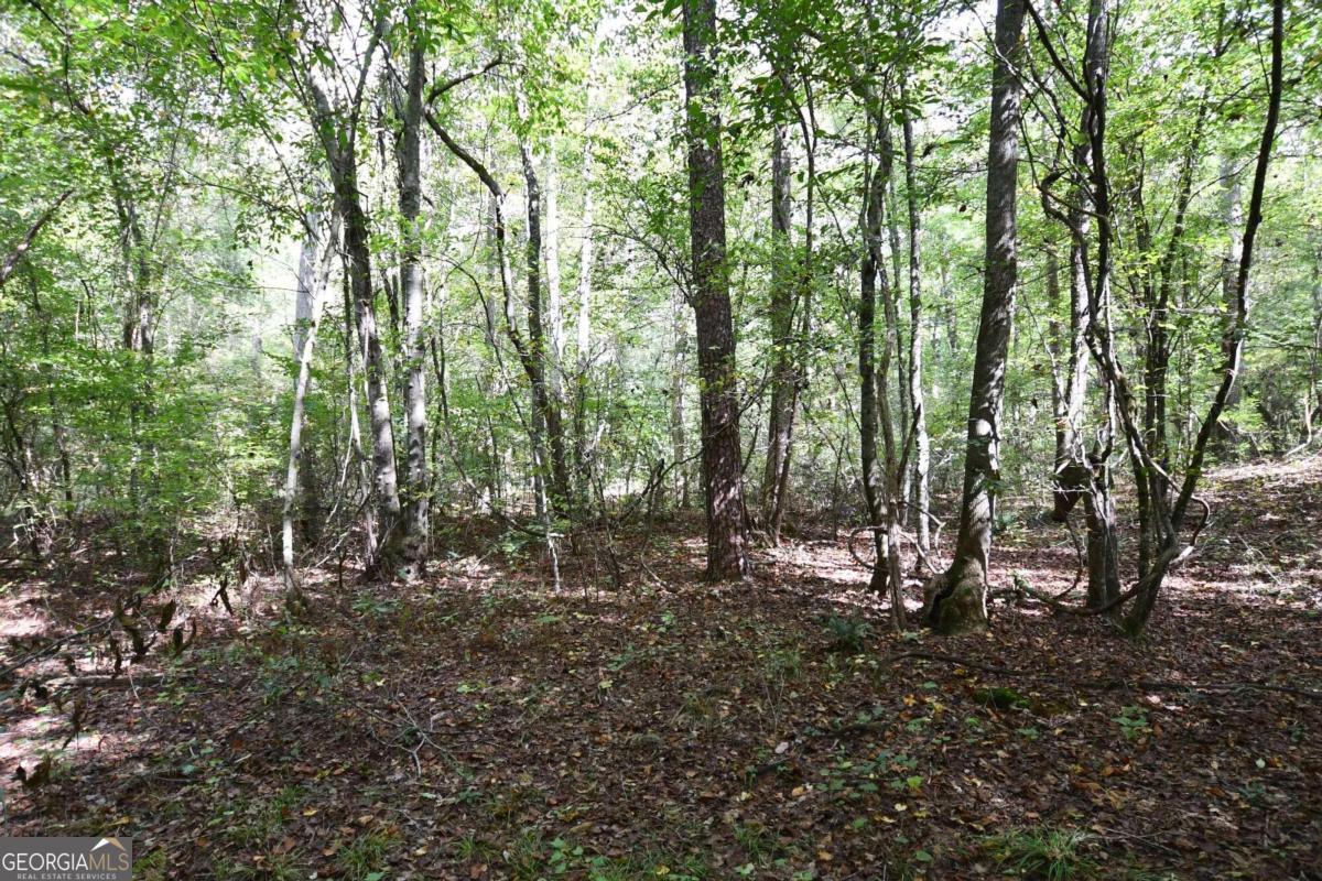 00001 Poplar Springs Road Property Photo 32