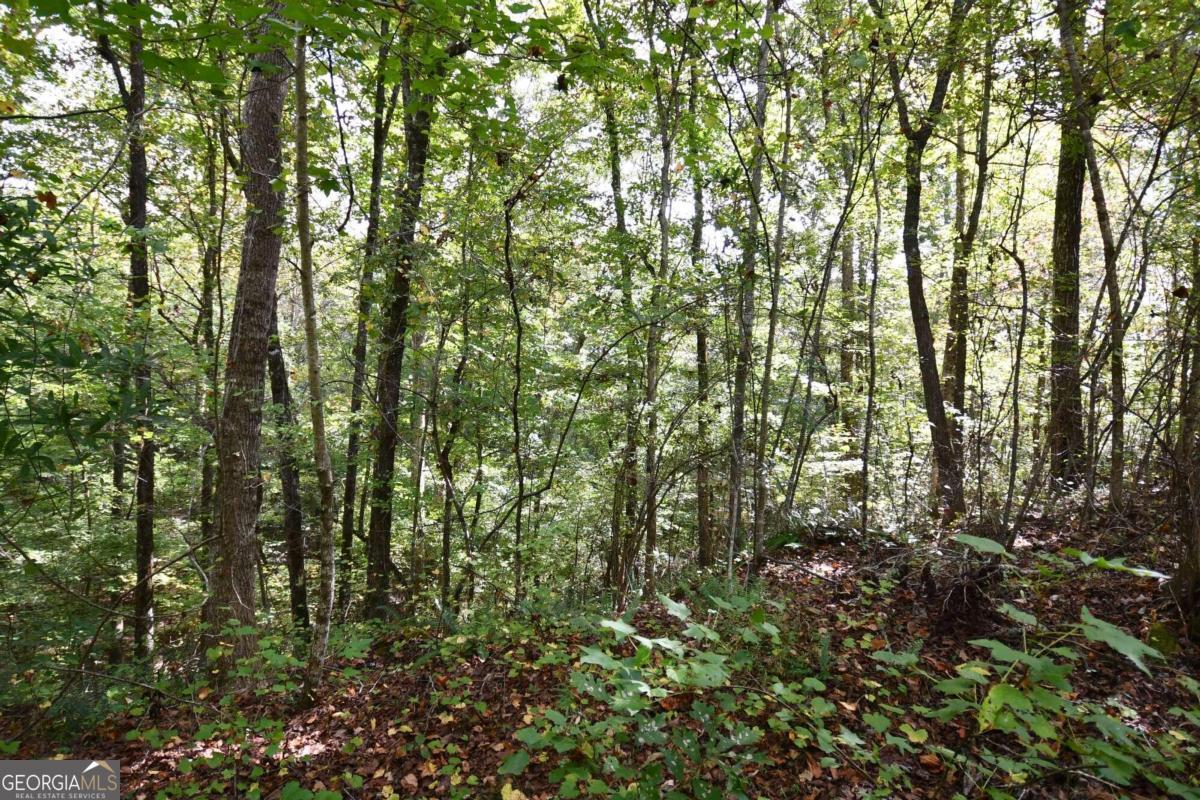 00001 Poplar Springs Road Property Photo 33