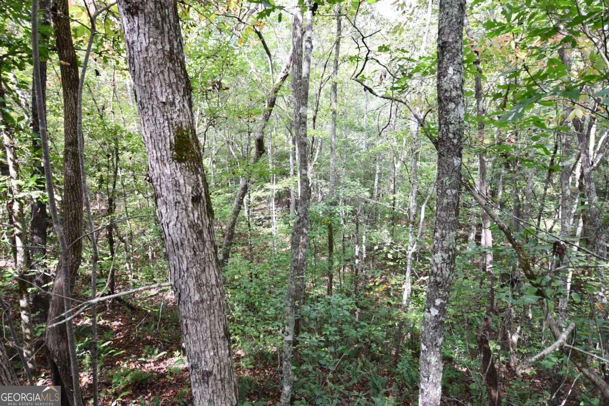 00001 Poplar Springs Road Property Photo 35