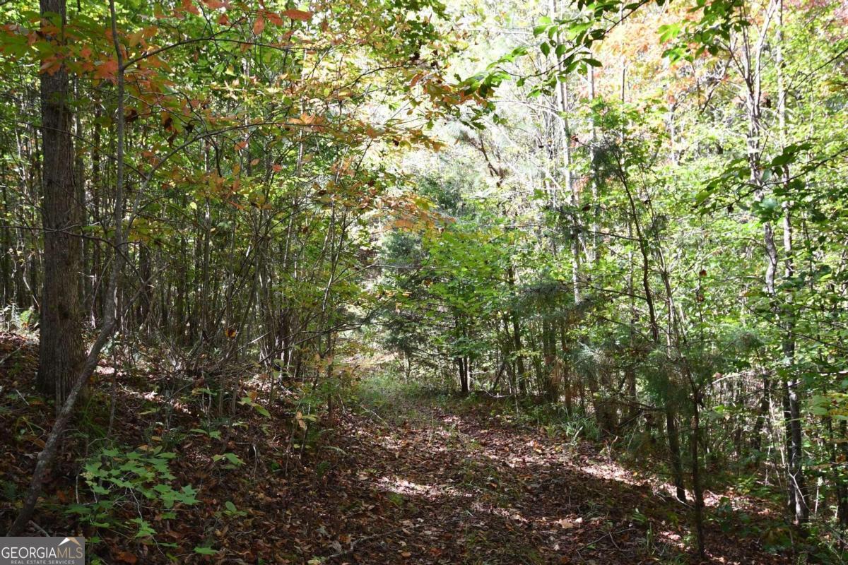 00001 Poplar Springs Road Property Photo 37