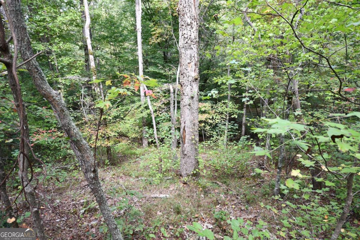 00001 Poplar Springs Road Property Photo 38