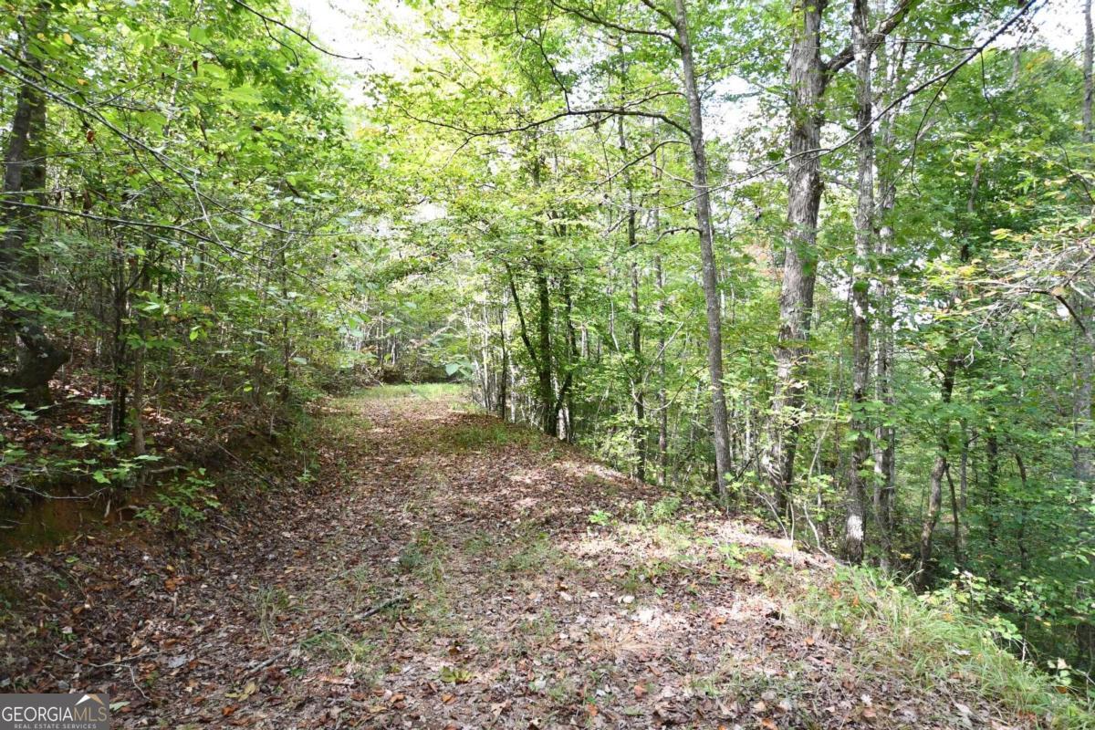00001 Poplar Springs Road Property Photo 39