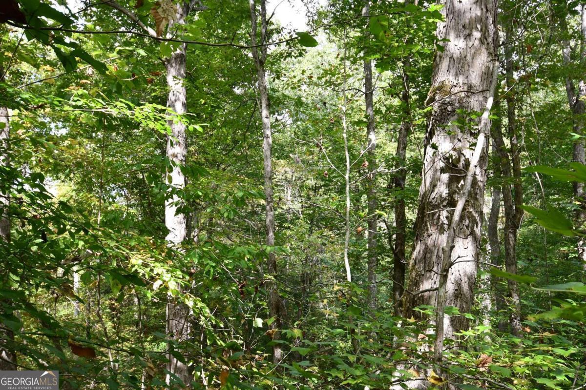 00001 Poplar Springs Road Property Photo 40