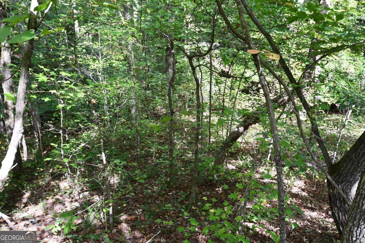 00001 Poplar Springs Road Property Photo 41