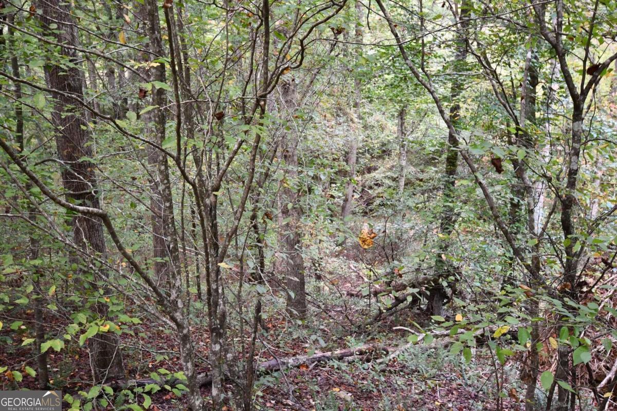 00001 Poplar Springs Road Property Photo 42
