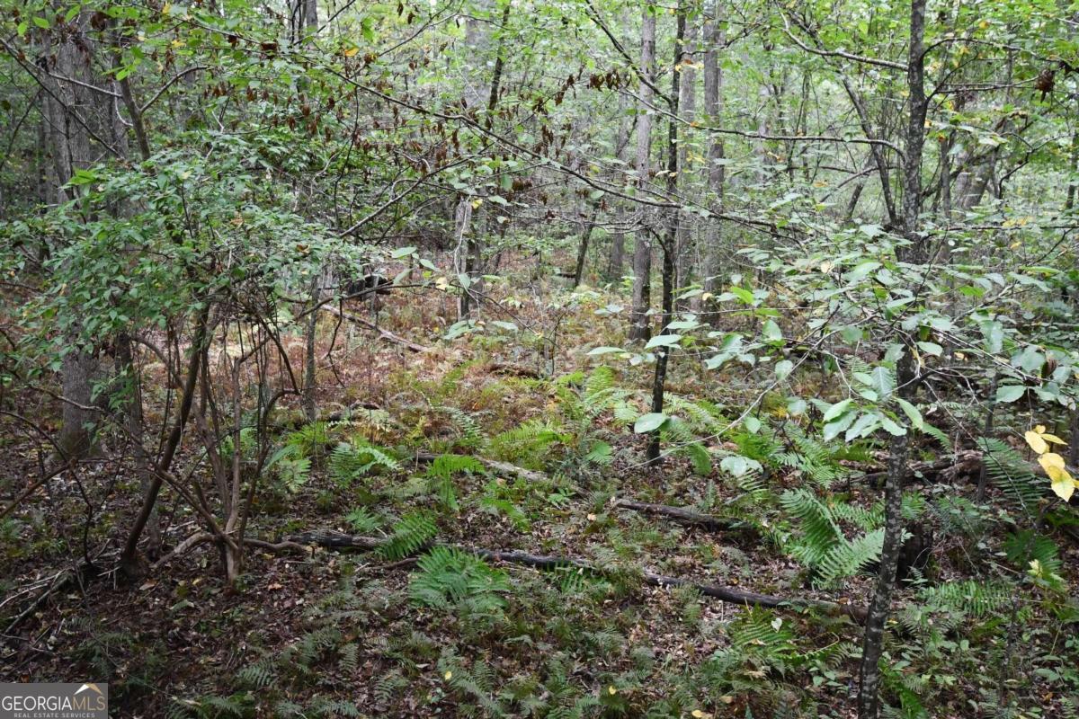 00001 Poplar Springs Road Property Photo 43