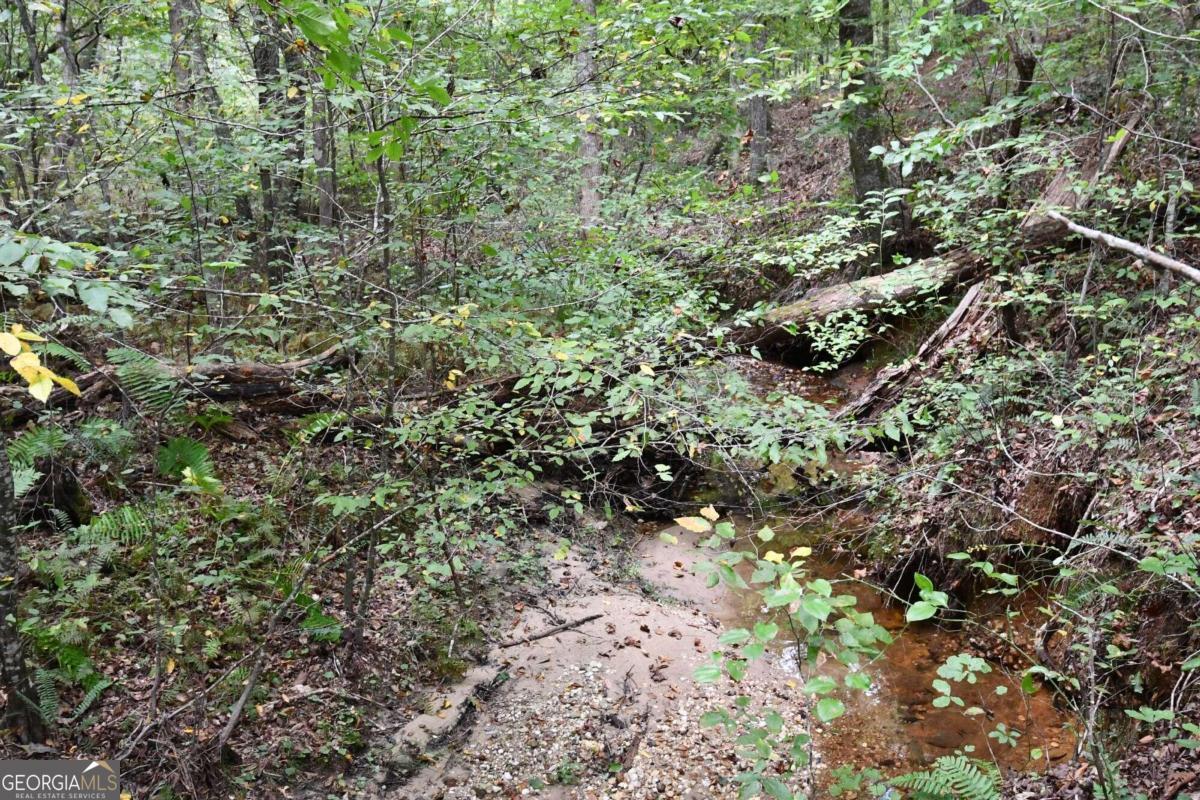 00001 Poplar Springs Road Property Photo 44