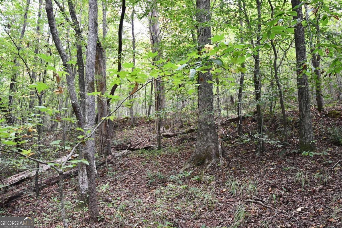 00001 Poplar Springs Road Property Photo 45