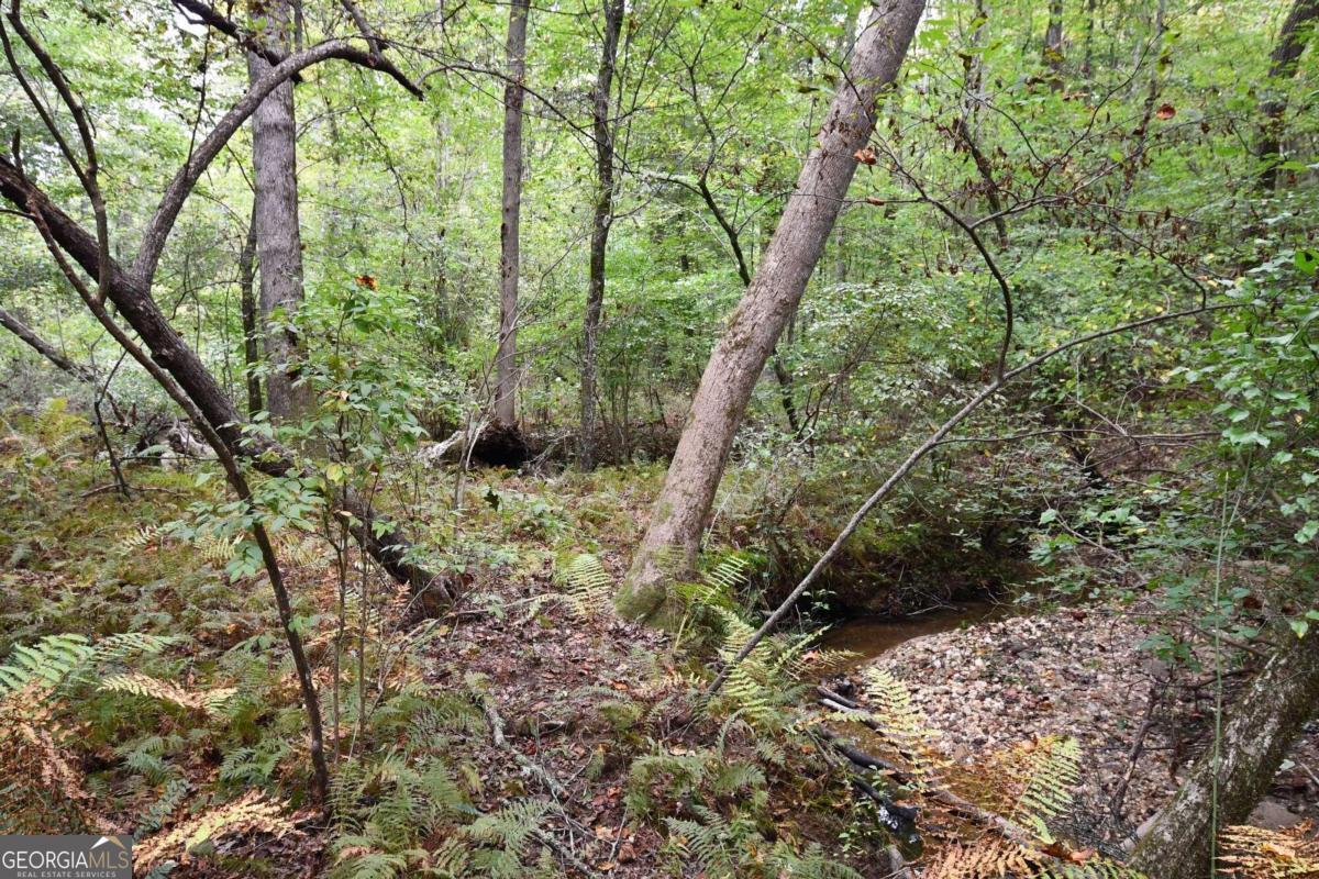 00001 Poplar Springs Road Property Photo 46