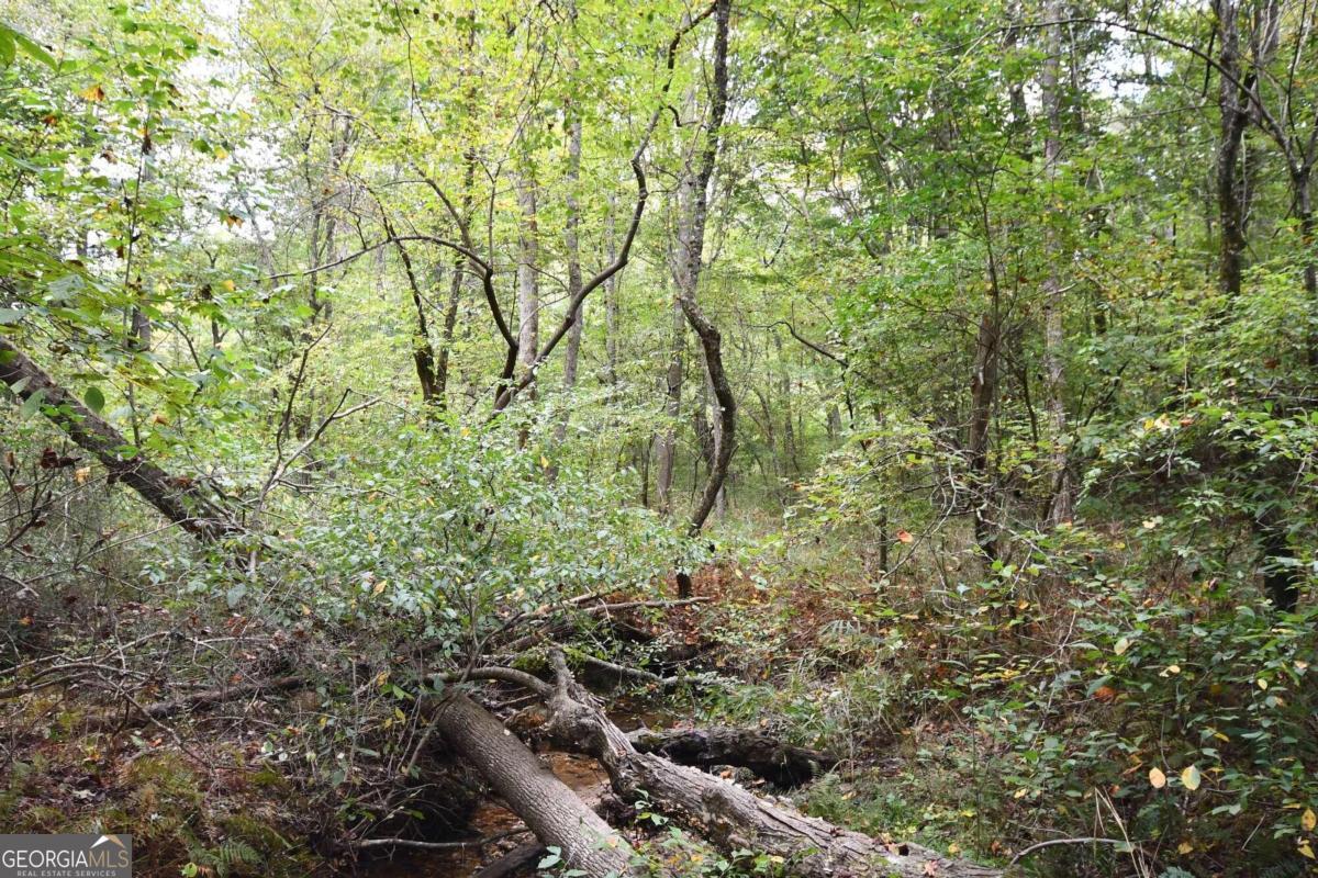 00001 Poplar Springs Road Property Photo 47
