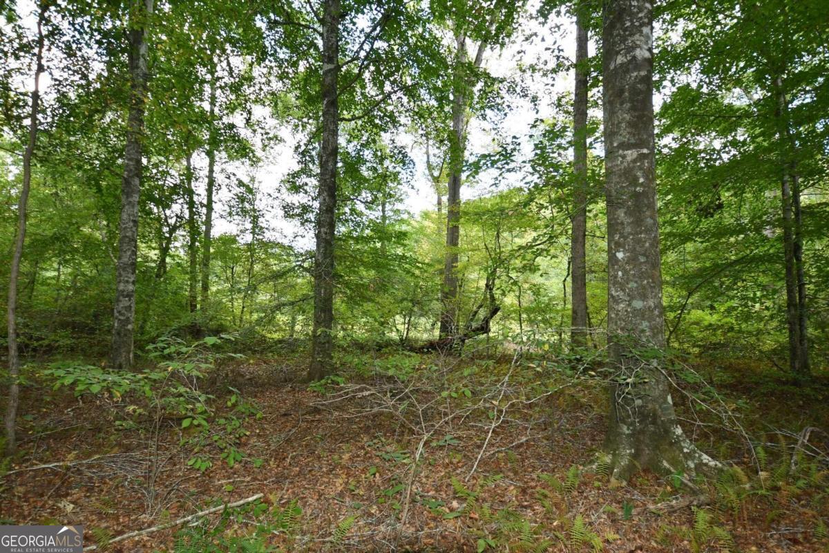 00001 Poplar Springs Road Property Photo 48